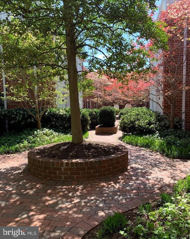 1040 N Royal St in Alexandria, VA - Building Photo - Building Photo