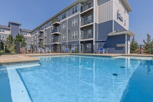 The Falcon of Southern Hills in Springfield, MO - Building Photo