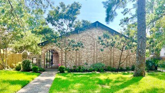 10719 Creektree Dr in Houston, TX - Building Photo
