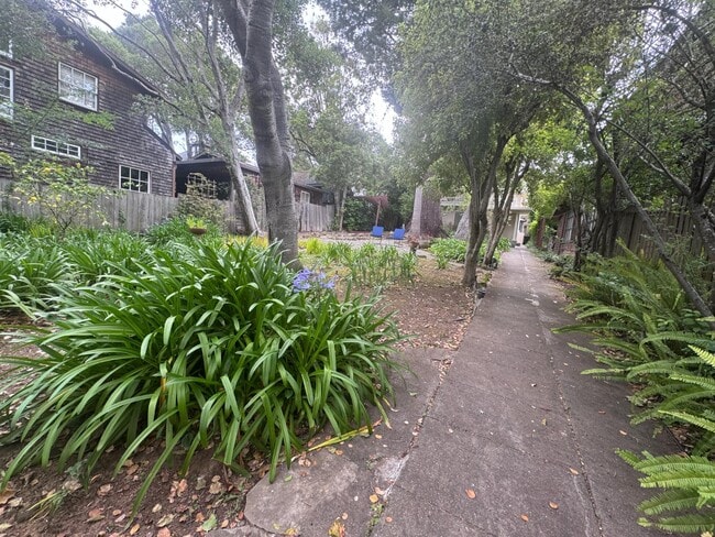 23 Sycamore Ave in Mill Valley, CA - Building Photo - Building Photo