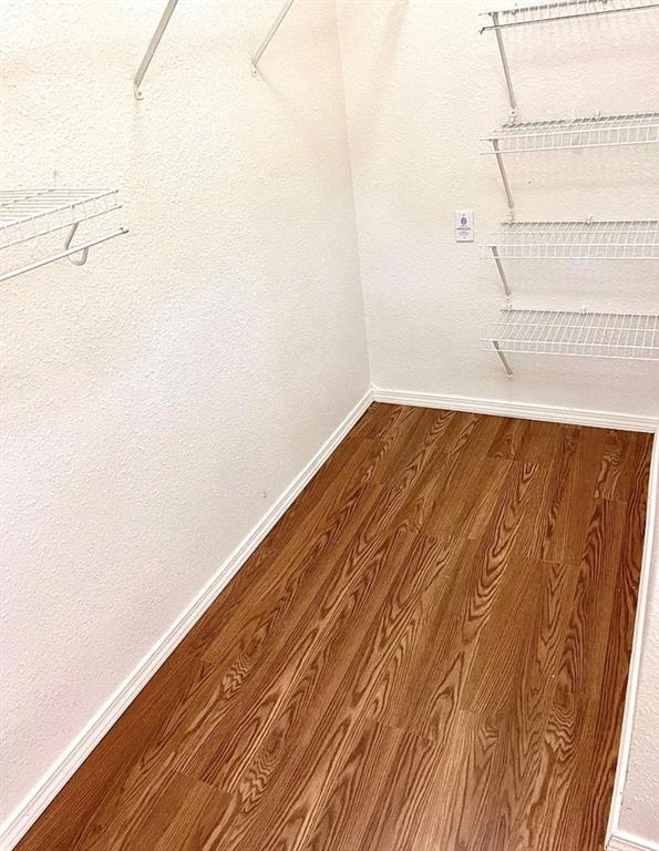 15021 Drusilla's Dr in Pflugerville, TX - Building Photo - Building Photo