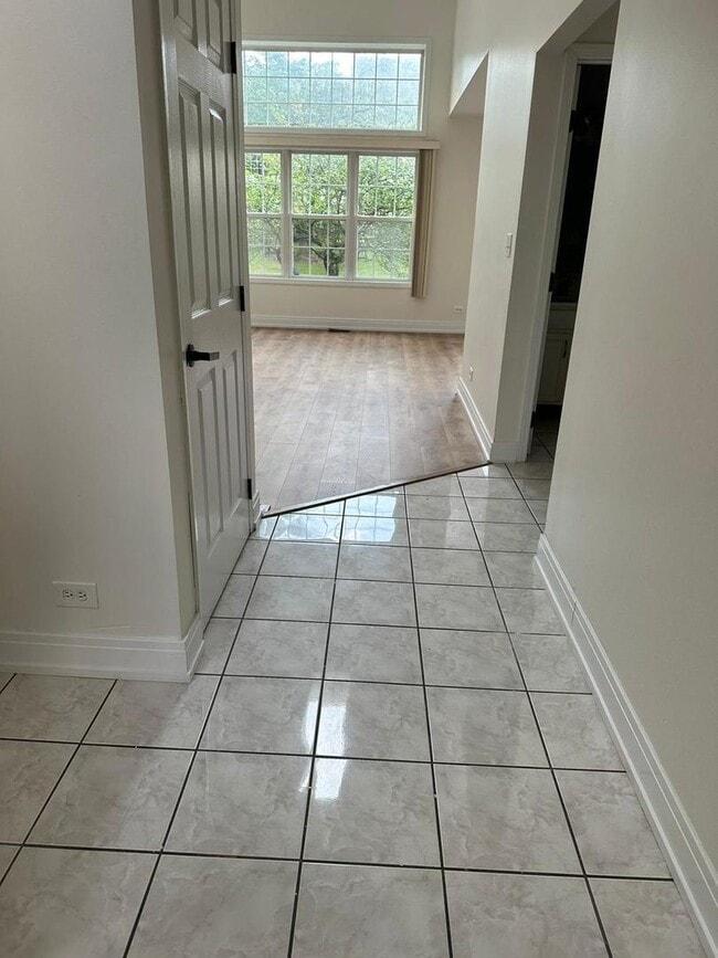 1436 Brittania Way in Roselle, IL - Building Photo - Building Photo