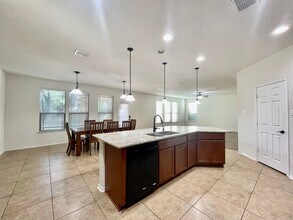 214 Sageleaf Willow in San Marcos, TX - Building Photo - Building Photo