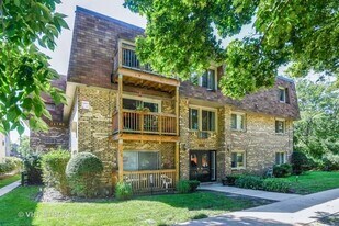 2619 W Agatite Ave, Unit 3C in Chicago, IL - Building Photo