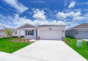 26340 FEATHERGRASS Cir in Leesburg, FL - Building Photo