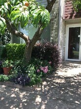 220 Justin Dr in Norman, OK - Building Photo - Building Photo