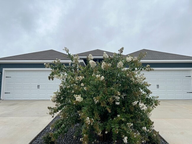 property at 637 Ashers Pl