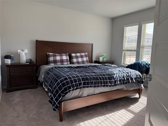 3716 Cedar Elm Trl in Lantana, TX - Building Photo - Building Photo