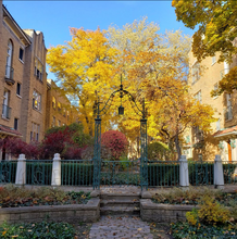 1609 W Thome Ave, Unit 05-1 in Chicago, IL - Foto de edificio - Building Photo