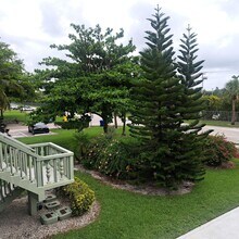 70 Easthampton C in West Palm Beach, FL - Building Photo - Building Photo