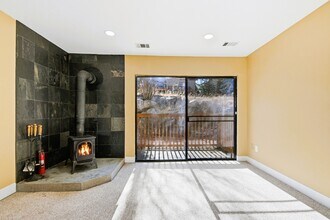 1901 Clear Creek Dr in Georgetown, CO - Building Photo - Building Photo