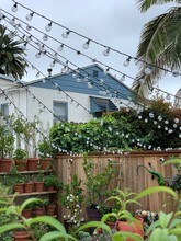 1212 Michigan Ave, Unit A in Santa Monica, CA - Foto de edificio - Building Photo