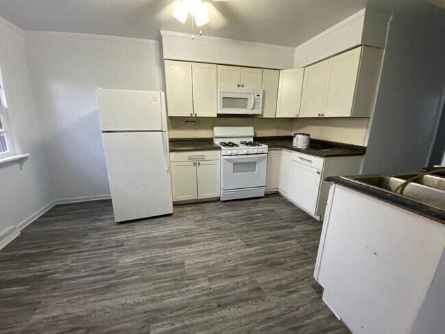 1126 S Park St in Kalamazoo, MI - Building Photo - Building Photo