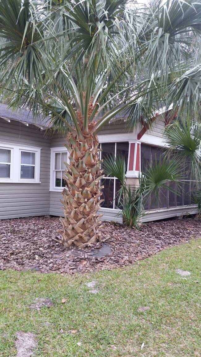 307 NW 15th St in Gainesville, FL - Foto de edificio - Building Photo