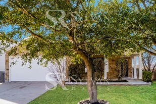 13201 Perconte Dr in Del Valle, TX - Building Photo