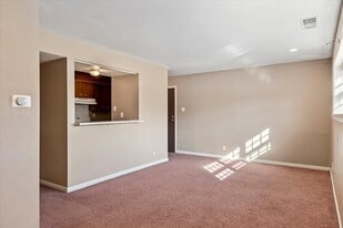 111 S Elder Ln in Decatur, IL - Building Photo