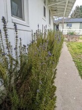 3232 Lone Pine Rd in Medford, OR - Building Photo - Building Photo