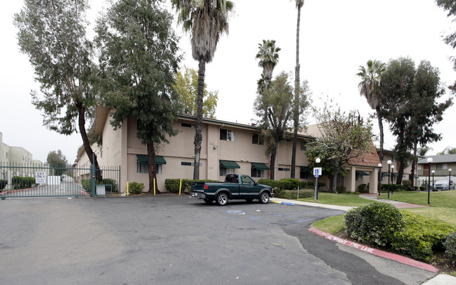 Sonoma Court Apartments in Escondido, CA - Building Photo - Building Photo