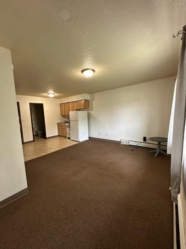 320 Oak Ave N in Thief River Falls, MN - Building Photo - Building Photo