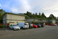 Northern Apartments in Mill Valley, CA - Building Photo - Building Photo