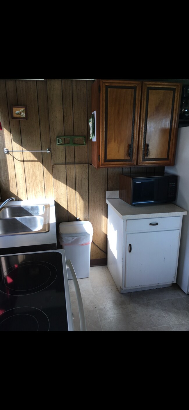 6640 W Lake Dr in Fremont, MI - Building Photo - Building Photo