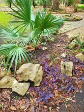 706 Maple St in Sweeny, TX - Building Photo - Building Photo