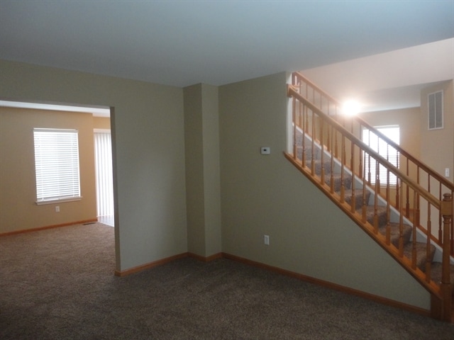 14129 S Manassas Ln in Plainfield, IL - Building Photo - Building Photo