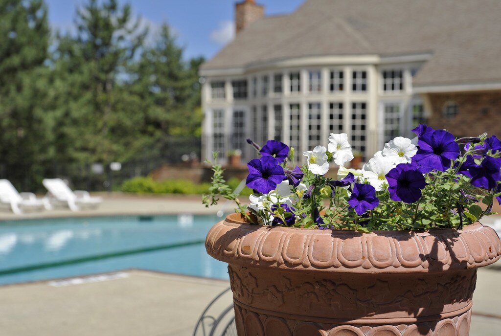 Windemere Apartments in Farmington Hills, MI