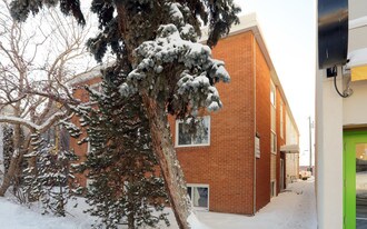 10324 124th St NW in Edmonton, AB - Building Photo