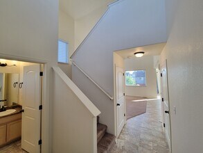 2067 Moon Rise Dr in Windsor, CO - Building Photo - Building Photo