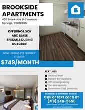 420 E Brookside St in Colorado Springs, CO - Building Photo - Building Photo