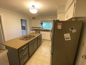 109 E South Ave in Houghton, MI - Building Photo - Building Photo