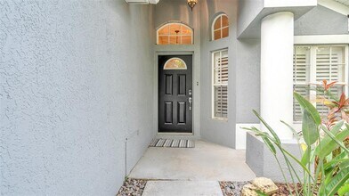 9918 Hartwell Bridge Cir in Tampa, FL - Building Photo - Building Photo