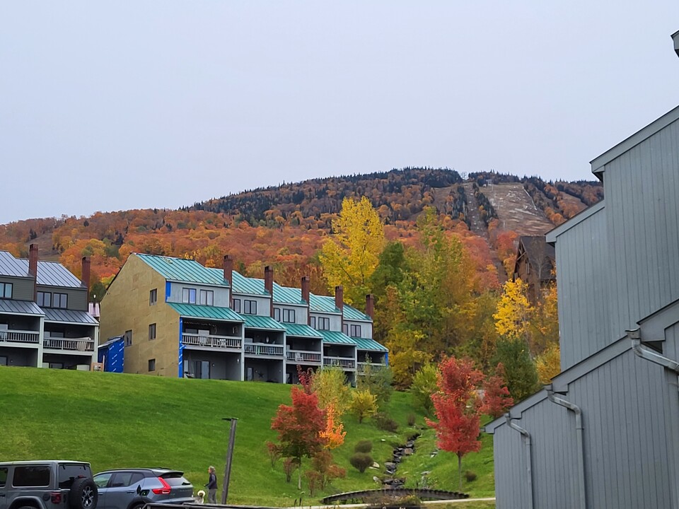 23 Mountain Brook Rd in East Burke, VT - Building Photo