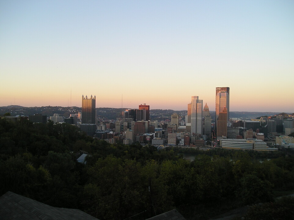 452 William St in Pittsburgh, PA - Building Photo