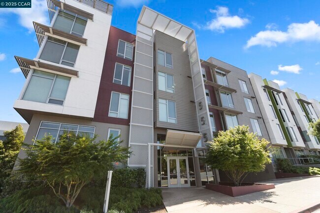 555 Ygnacio Valley Rd in Walnut Creek, CA - Building Photo - Building Photo