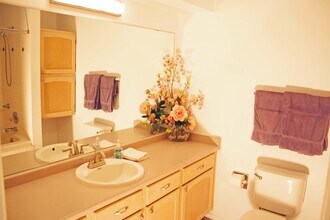 740 Copper Ln, Unit 204 in Louisville, CO - Building Photo - Building Photo