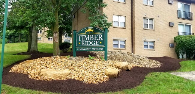 Timber Ridge Apartments photo'