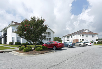 The Trellis Apartments in Greenville, NC - Building Photo - Building Photo