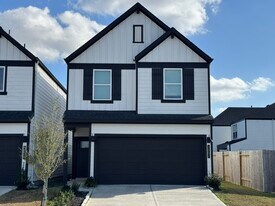 3002 Skyline Mesa Dr in Houston, TX - Building Photo