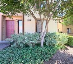 468 Park Pl Dr in Petaluma, CA - Building Photo
