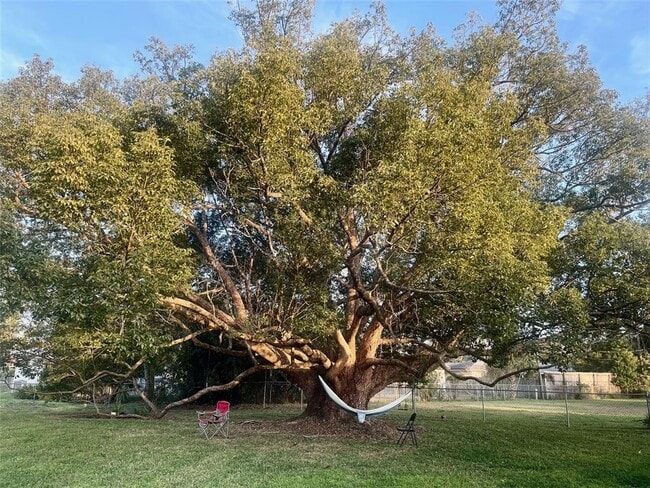 950 Hedgewood Ct in Winter Park, FL - Building Photo - Building Photo