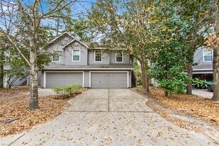 143 Anise Tree Pl in Spring, TX - Building Photo