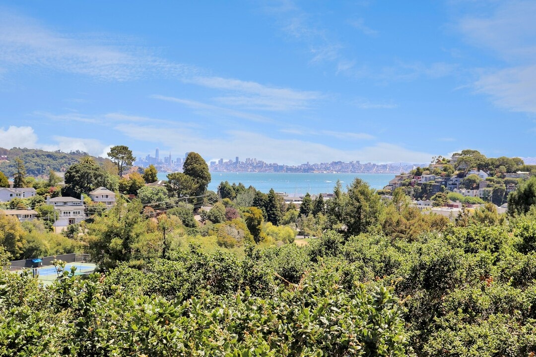 40 Harbor Oak Dr in Tiburon, CA - Building Photo