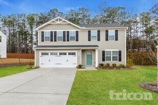 8991 Celtic Dr in Winston, GA - Building Photo