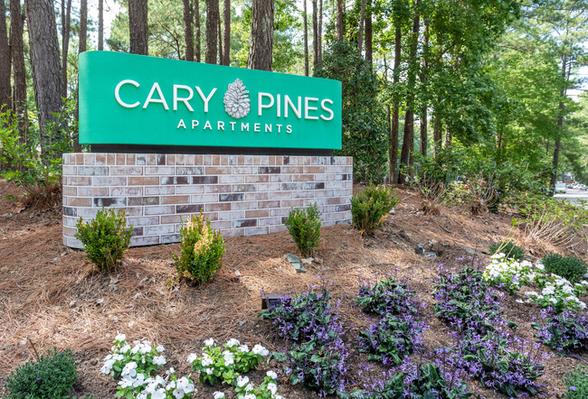 Cary Pines Apartments in Cary, NC - Building Photo - Building Photo