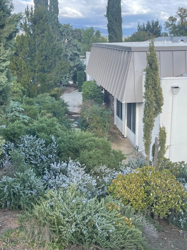 6052 Pat Ave in Woodland Hills, CA - Foto de edificio - Building Photo