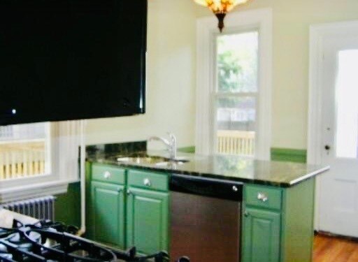 46 Alleghany St in Boston, MA - Building Photo
