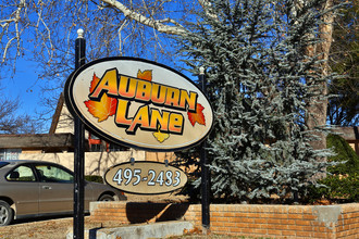 Auburn Lane Apartments in Oklahoma City, OK - Building Photo - Building Photo