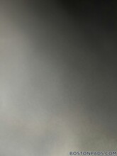 165 Gove St in Boston, MA - Foto de edificio - Building Photo